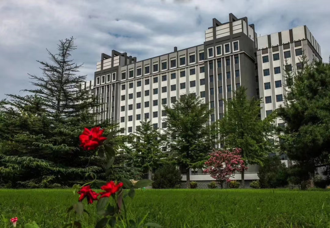 中国p站中文网站宣传片